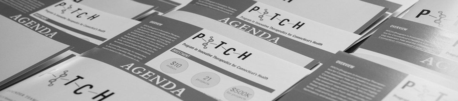 Image of PITCH brochures