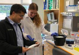 Ranjit Bindra in the lab